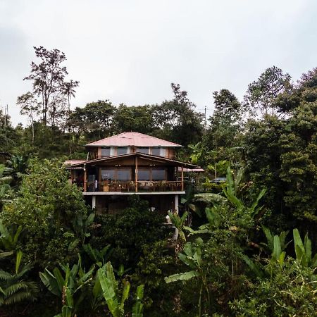 Casa De Vista Alta Hotel Mindo Bagian luar foto