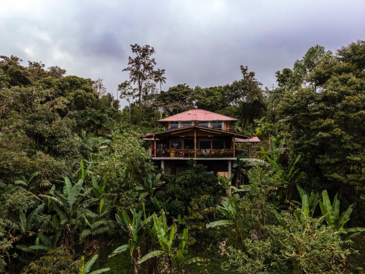 Casa De Vista Alta Hotel Mindo Bagian luar foto