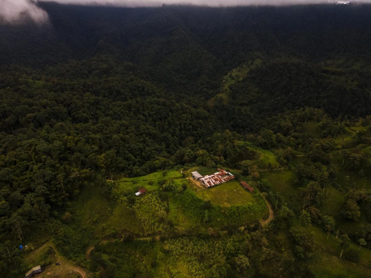Casa De Vista Alta Hotel Mindo Bagian luar foto